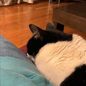 Meet your Posher, Edie